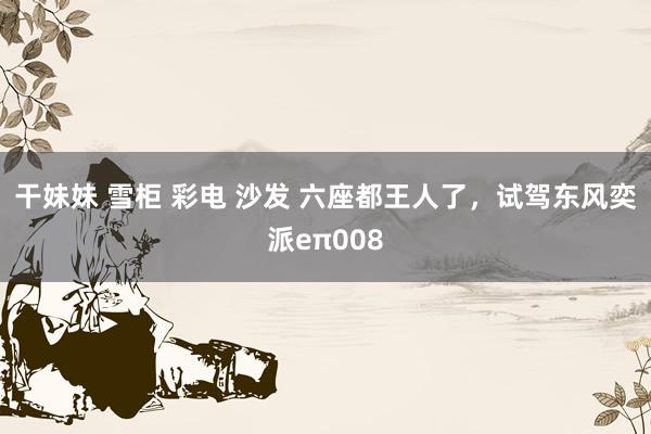 干妹妹 雪柜 彩电 沙发 六座都王人了，试驾东风奕派eπ008