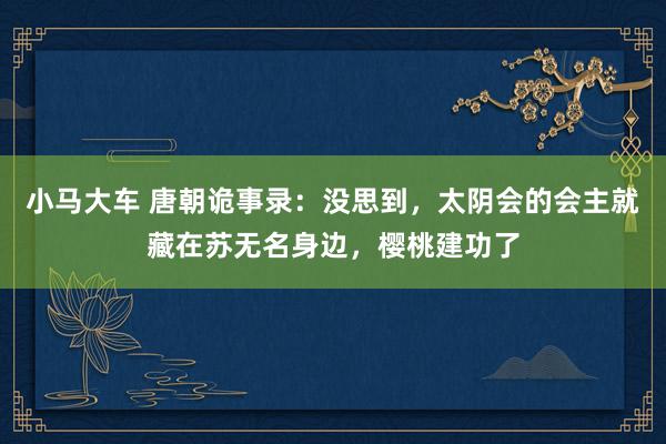 小马大车 唐朝诡事录：没思到，太阴会的会主就藏在苏无名身边，樱桃建功了