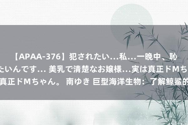 【APAA-376】犯されたい…私…一晩中、恥ずかしい恰好で犯されたいんです… 美乳で清楚なお嬢様…実は真正ドMちゃん。 南ゆき 巨型海洋生物：了解鲸鲨的好意思妙寰球