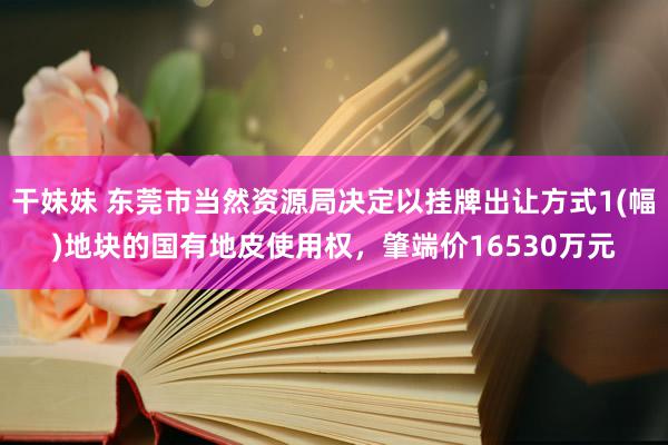 干妹妹 东莞市当然资源局决定以挂牌出让方式1(幅)地块的国有地皮使用权，肇端价16530万元