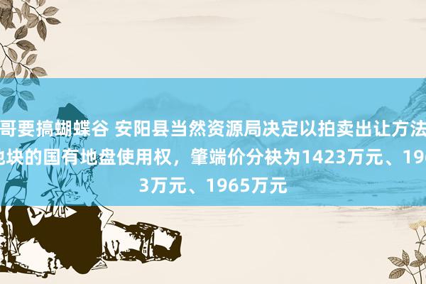 哥要搞蝴蝶谷 安阳县当然资源局决定以拍卖出让方法2(幅)地块的国有地盘使用权，肇端价分袂为1423万元、1965万元