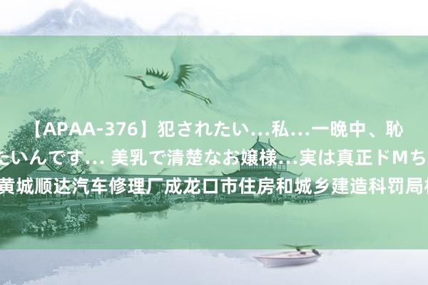 【APAA-376】犯されたい…私…一晩中、恥ずかしい恰好で犯されたいんです… 美乳で清楚なお嬢様…実は真正ドMちゃん。 南ゆき 龙口市黄城顺达汽车修理厂成龙口市住房和城乡建造科罚局机关本级车辆维修姿色供应商，成交金额 2315 元