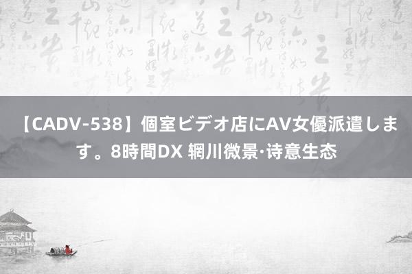 【CADV-538】個室ビデオ店にAV女優派遣します。8時間DX 辋川微景·诗意生态