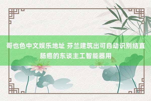哥也色中文娱乐地址 芬兰建筑出可自动识别结直肠癌的东谈主工智能器用