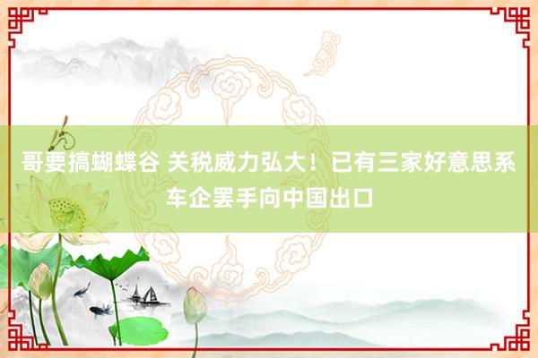 哥要搞蝴蝶谷 关税威力弘大！已有三家好意思系车企罢手向中国出口