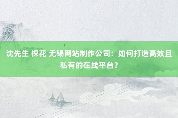 沈先生 探花 无锡网站制作公司：如何打造高效且私有的在线平台？